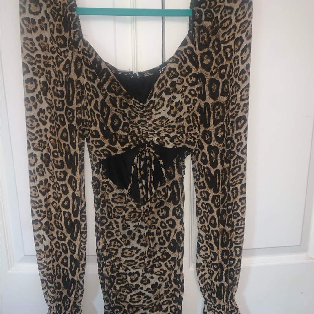 Windsor Leopard Print Long Sleeve Dress